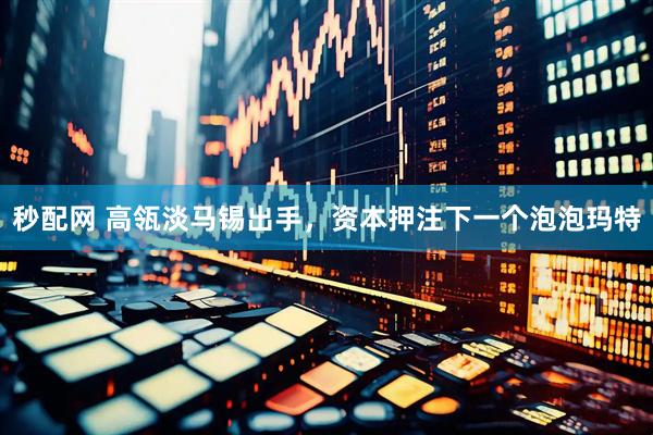 秒配网 高瓴淡马锡出手，资本押注下一个泡泡玛特