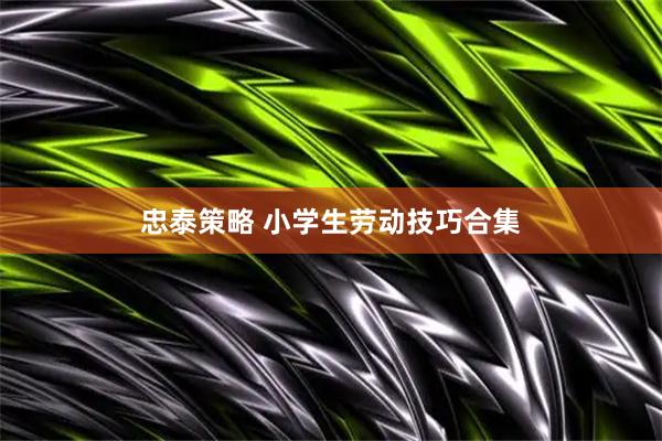 忠泰策略 小学生劳动技巧合集