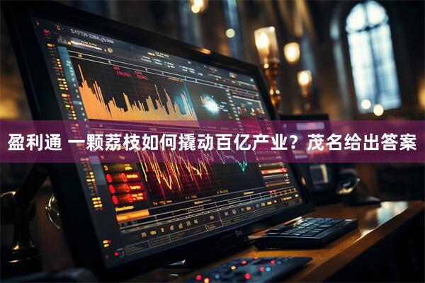 盈利通 一颗荔枝如何撬动百亿产业？茂名给出答案