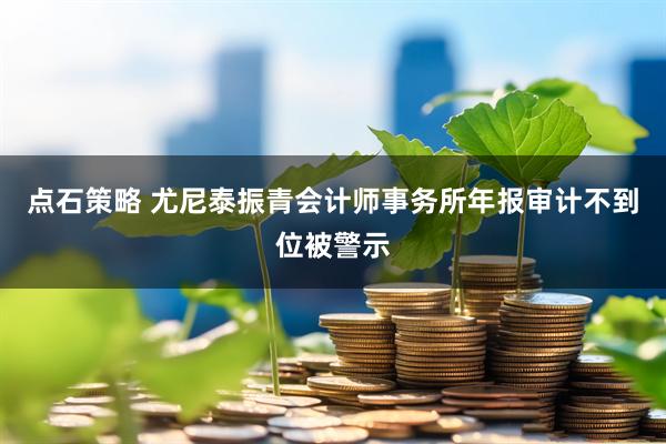 点石策略 尤尼泰振青会计师事务所年报审计不到位被警示