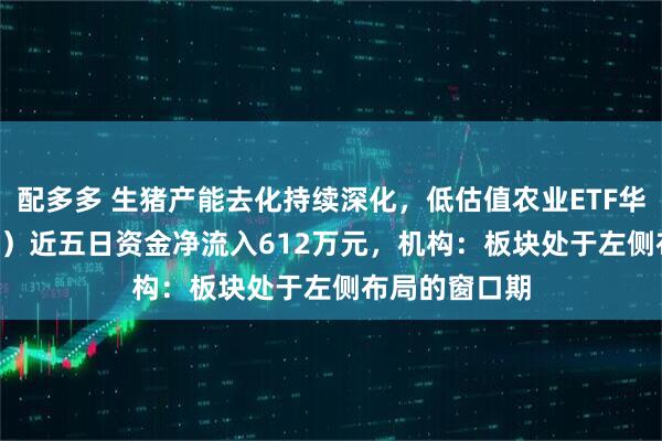 配多多 生猪产能去化持续深化，低估值农业ETF华夏（516810）近五日资金净流入612万元，机构：板块处于左侧布局的窗口期